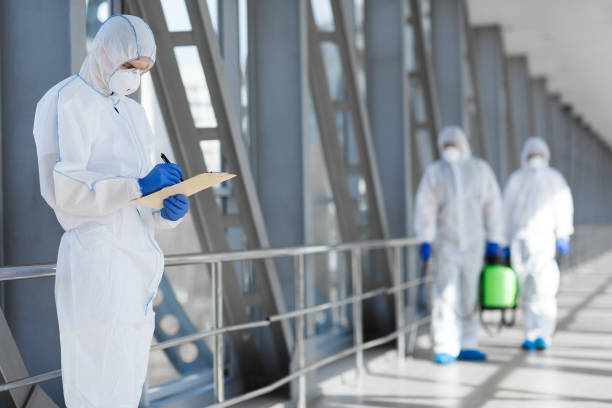Best Water Damage & Mold Remediation  in Comstock Park, MI