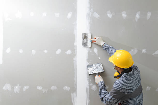 Best Basement Mold Removal  in Comstock Park, MI