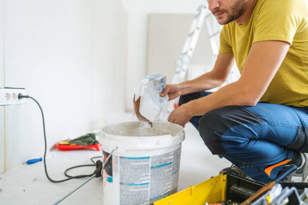 Best HVAC Mold Inspection and Cleaning  in Comstock Park, MI