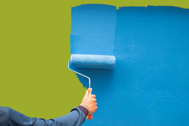 Best Emergency Mold Remediation  in Comstock Park, MI
