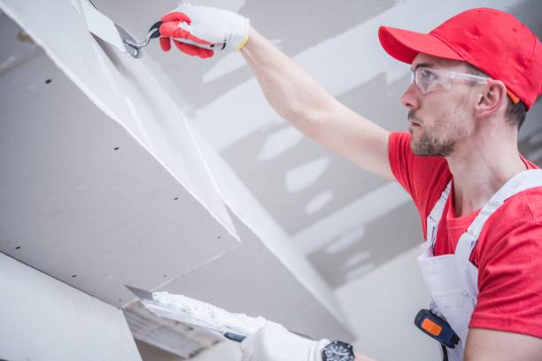 Best Post-Construction Mold Inspection  in Comstock Park, MI